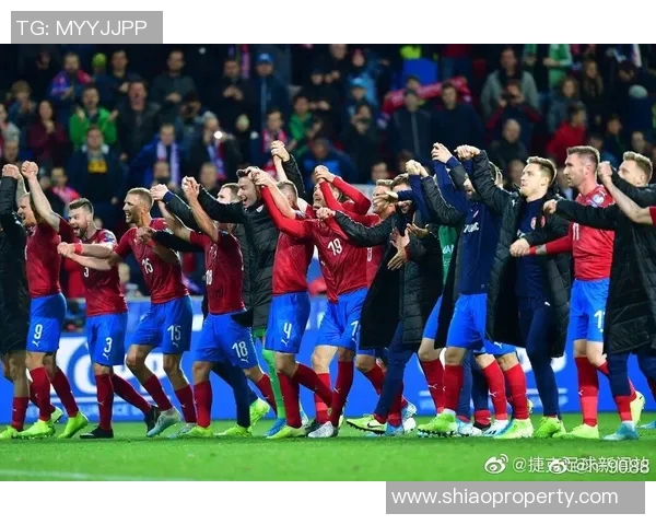 北爱尔兰与捷克足球比赛直播时间及观看方式详解