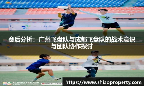 赛后分析：广州飞盘队与成都飞盘队的战术意识与团队协作探讨
