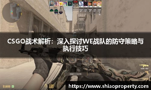 CSGO战术解析：深入探讨WE战队的防守策略与执行技巧